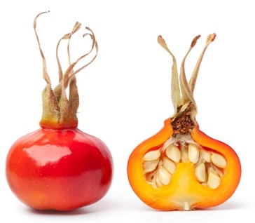 Состав Витамина C от NSP