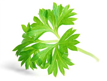 Нехватка кальция – бич нашего времени