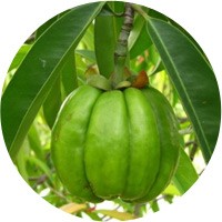 Важность протеинов