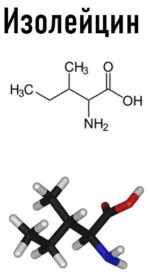 Самые важные аминокислоты.