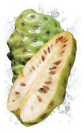 Восстановление функций организма.