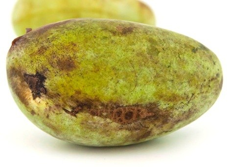 Радиоактивное излучение.