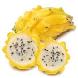 Снижение аппетита и сжигание жиров.