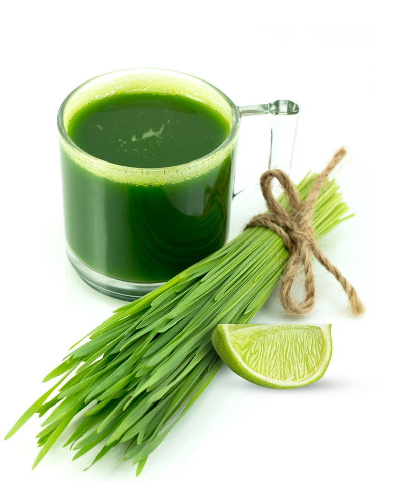 Экскурсия по предприятию - 3