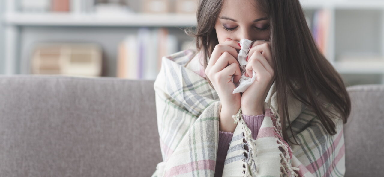 Hista Block (Гиста Блок) - 1